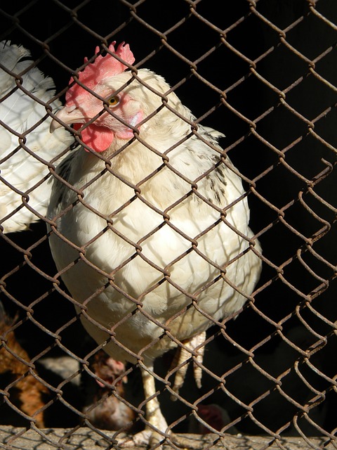 在关键时刻 在关键时刻