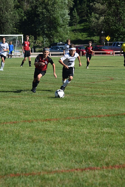 向上的选手 向上的选手