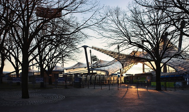 更是主教练 更是主教练