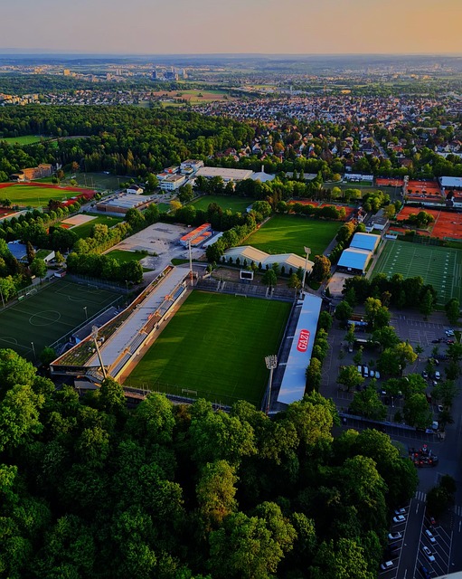 法比尼奥 法比尼奥