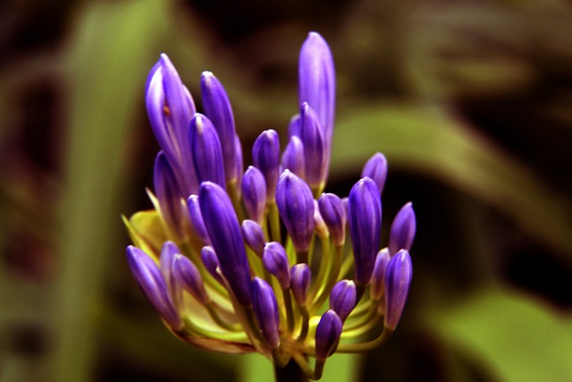 不负众望地 不负众望地