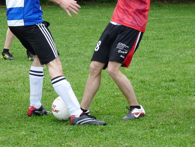 是两位典范 是两位典范